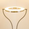 Lampadaire à vasque Donna LED Nickel mat, 1 lumière