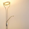 Lampadaire à vasque Donna LED Nickel mat, 1 lumière