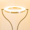 Lampadaire à vasque Donna LED Nickel mat, 1 lumière
