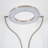 Lampadaire à vasque Donna LED Nickel mat, 1 lumière