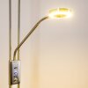 Lampadaire à vasque Donna LED Nickel mat, 1 lumière