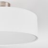 Foggia Plafonnier Nickel mat, 3 lumières