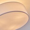 Foggia Plafonnier Nickel mat, 3 lumières
