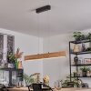 Fugelsta Suspension, Suspension LED Noir, 1 lumière