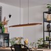 Fugelsta Suspension, Suspension LED Noir, 1 lumière
