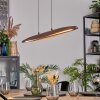 Fugelsta Suspension, Suspension LED Noir, 1 lumière