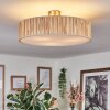 Foggia Plafonnier Nickel mat, 3 lumières