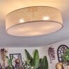Foggia Plafonnier Nickel mat, 3 lumières