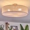 Foggia Plafonnier Nickel mat, 3 lumières