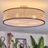 Foggia Plafonnier Nickel mat, 3 lumières