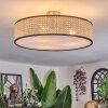 Foggia Plafonnier Nickel mat, 3 lumières
