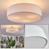 Foggia Plafonnier Nickel mat, 3 lumières