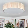 Foggia Plafonnier Nickel mat, 3 lumières