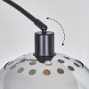 Baloca Lampadaire Noir, 1 lumière