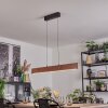 Fugelsta Suspension, Suspension LED Noir, 1 lumière