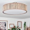 Foggia Plafonnier Nickel mat, 3 lumières