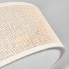Foggia Plafonnier Nickel mat, 3 lumières