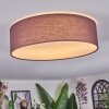 Antillo Plafonnier Brun, Blanc, 3 lumières