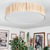 Foggia Plafonnier Nickel mat, 3 lumières