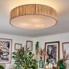 Foggia Plafonnier Nickel mat, 3 lumières