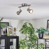 Edain Plafonnier, Spot de plafond LED Chrome, Nickel mat, 2 lumières