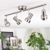 Edain Plafonnier, Spot de plafond LED Chrome, Nickel mat, 4 lumières