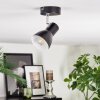 Farel Plafonnier, Spot de plafond Chrome, Noir, 1 lumière