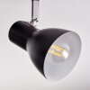 Farel Plafonnier, Spot de plafond Chrome, Noir, 2 lumières