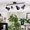 Farel Plafonnier, Spot de plafond Chrome, Noir, 4 lumières