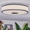 Elran Plafonnier LED Blanc, 1 lumière