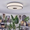 Elran Plafonnier LED Blanc, 1 lumière
