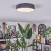 Elmar Plafonnier LED Noir, 1 lumière