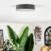 Elmar Plafonnier LED Noir, 1 lumière