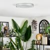 Elmar Plafonnier LED Argenté, 1 lumière
