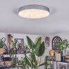Elmar Plafonnier LED Argenté, 1 lumière