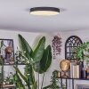 Elmar Plafonnier LED Noir, 1 lumière