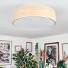Foggia Plafonnier Nickel mat, 3 lumières