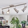 Firan Plafonnier, Spot de plafond LED Chrome, Nickel mat, 4 lumières