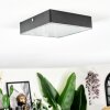 Esmar Plafonnier LED Noir, 1 lumière