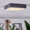 Esmar Plafonnier LED Noir, 1 lumière