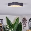 Esmar Plafonnier LED Noir, 1 lumière