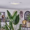 Esmar Plafonnier LED Blanc, 1 lumière