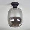 Apedo Plafonnier Fumé, 1 lumière