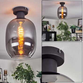 Apedo Plafonnier Fumé, 1 lumière