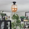 Apedo Plafonnier Ambre, 1 lumière