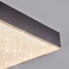 Esmar Plafonnier LED Noir, 1 lumière