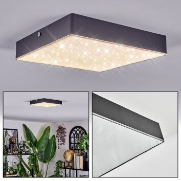 Esmar Plafonnier LED Noir, 1 lumière