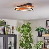 Pompu Plafonnier LED Écru, Noir, 1 lumière