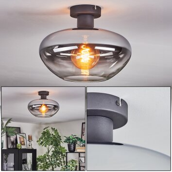 Mertola Plafonnier Clair, Fumé, 1 lumière