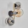 Gastor Boule lumineuse, Applique murale Or, Noir, 3 lumières